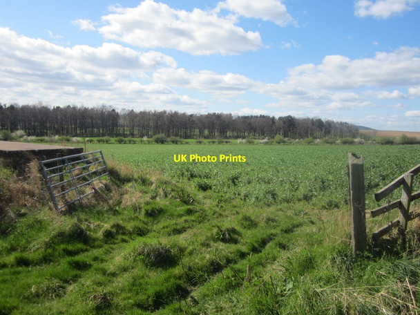 Photo 6"x4" Field gateway north of Fenton Fenton\/NT9733 c2014