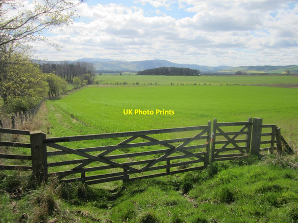Photo 6"x4" Gateway into arable field Fenton\/NT9733 c2014