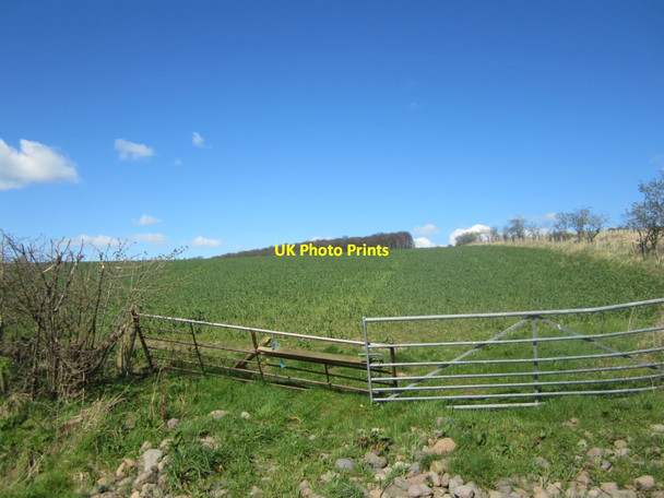 Photo 6"x4" Makeshift field gates Fenton\/NT9733 c2014