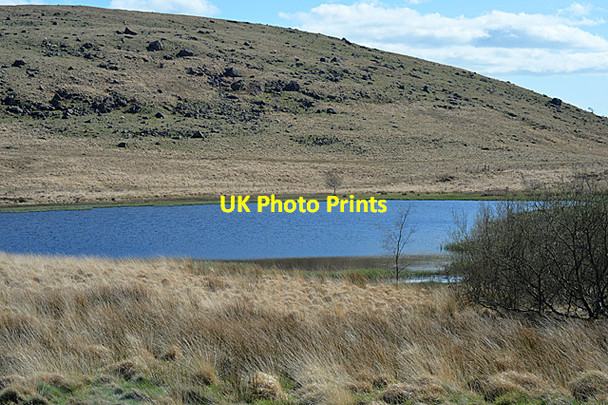 Photo 6"x4" Llyn Lockwood Nant-y-llys c2014