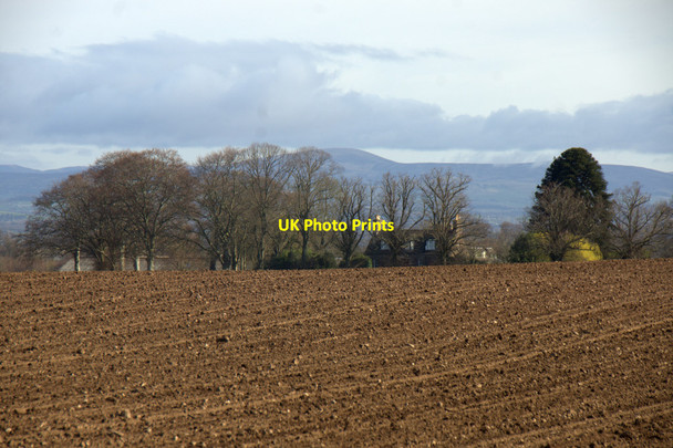 Photo 6"x4" South Corston, Campmuir Kettins c2014