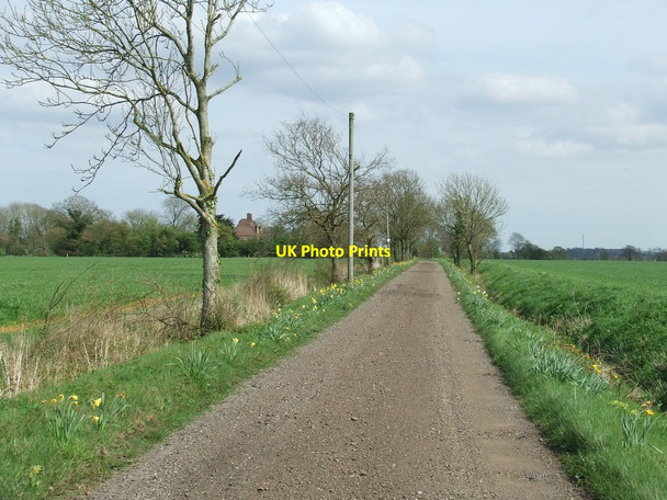 Photo 6"x4" Farm Track Heveningham c2014