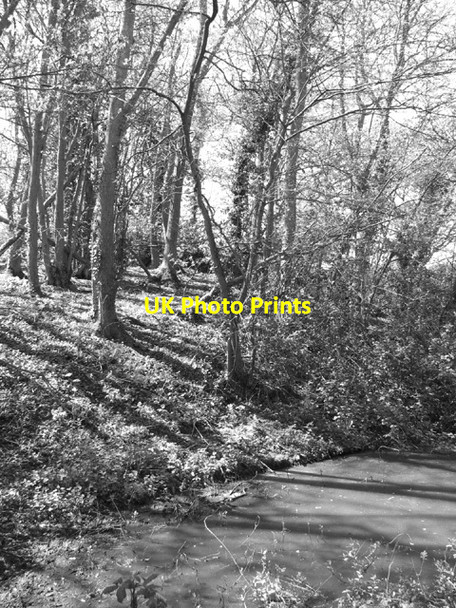 Photo 6"x4" Moat at Mill Mount Brundish\/TM3995 c2014