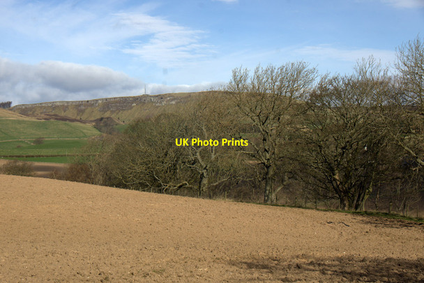 Photo 6"x4" View to Craigs of Lundie from Ledyatt Lundie\/NO2936 c2014