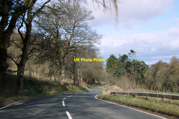 Photo 6"x4" B954 at Millhole above Newtyle Newtyle\/NO2941 c2014