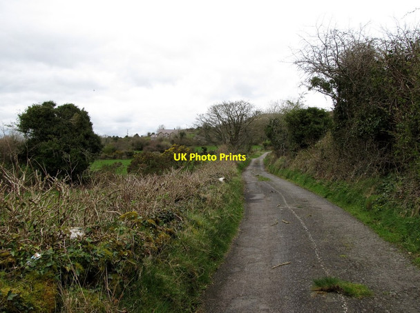 Photo 6"x4" View north along Mill Lane Camlough c2014