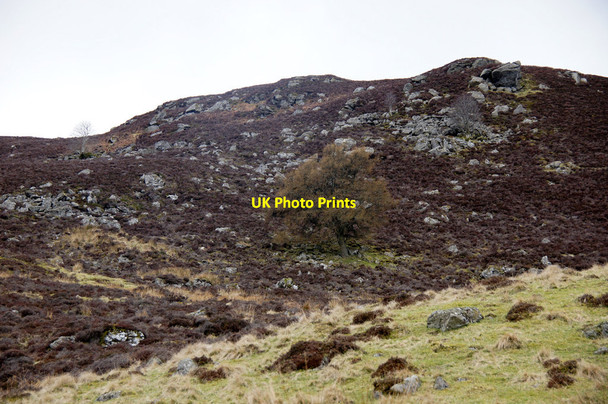 Photo 6"x4" Creag na Lair, Glen Shee Cray\/NO1463 c2014