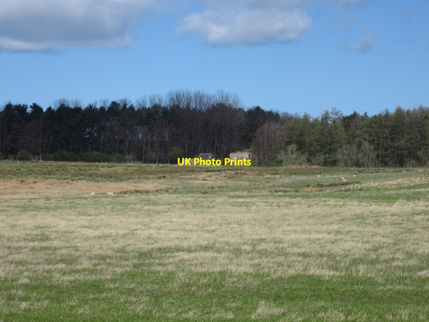 Photo 6"x4" Grassland west of Fenton Fenton\/NT9733 c2014