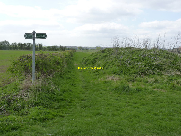 Photo 6"x4" Footpath junction Car Colston c2014