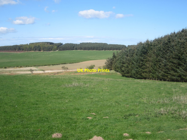 Photo 6"x4" Grassland on the edge of Doddington Moor Doddington\/NT9932 c2014