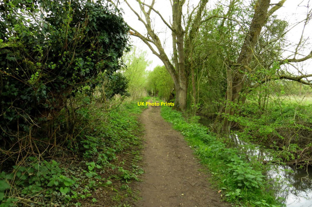 Photo 6"x4" The Thames Path by a drain Abingdon c2014