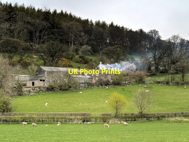 Photo 6"x4" Hill Farm near Dubwath Embleton\/NY1730 c2014