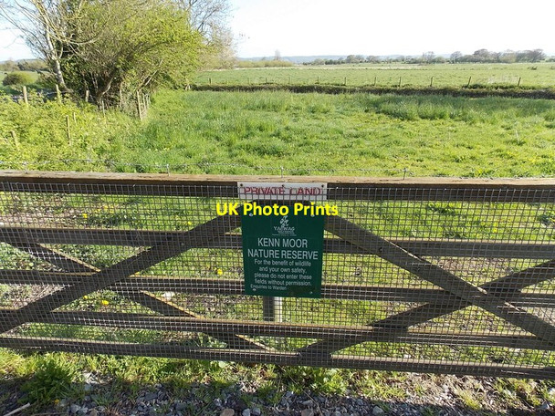 Photo 6"x4" Kenn Moor Nature Reserve entrance gate at the edge of Yatton Horsecastle c2014