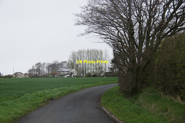 Photo 6"x4" Plex Lane, Downholland Downholland Cross c2014