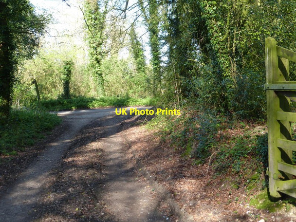 Photo 6"x4" Bridleway joins road at Manor Farm Tunworth c2014