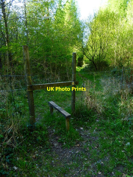 Photo 6"x4" Stile on path in Picked Craft Copse Tunworth c2014