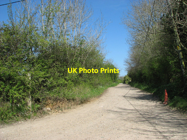 Photo 6"x4" View along Lyng Hall Lane Wood Norton\/TG0128 c2014