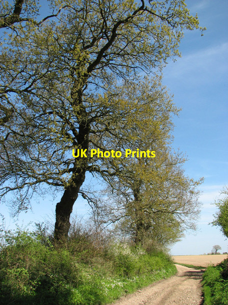 Photo 6"x4" This way to Field Barn Wood Norton\/TG0128 c2014