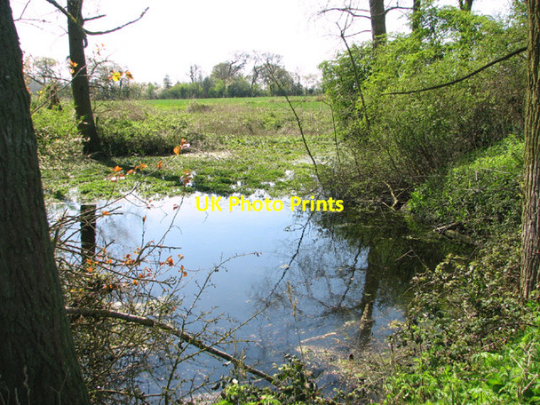Photo 6"x4" Pond by Field Barn Wood Norton\/TG0128 c2014