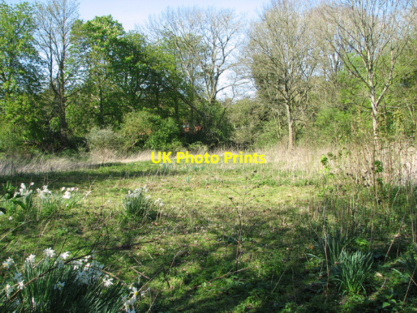 Photo 6"x4" Disused chalk pit, Guist Guist c2014