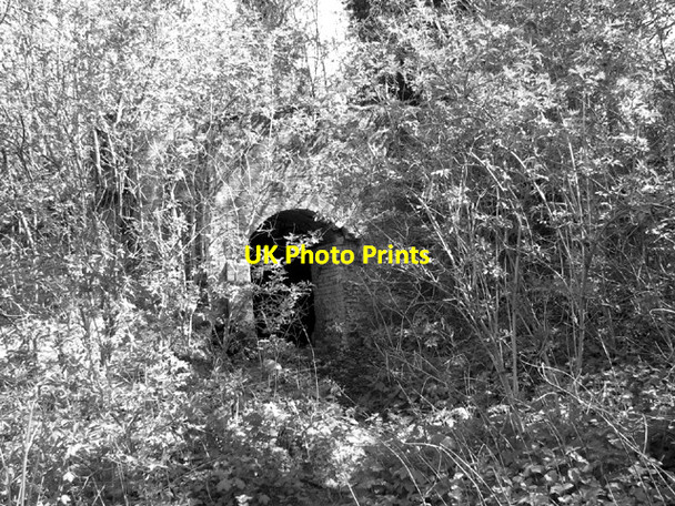 Photo 6"x4" Old lime kiln hiding behind young trees Guist c2014