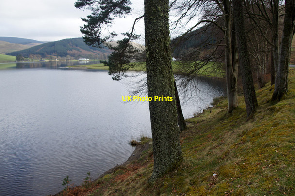Photo 6"x4" The southern end of St Mary's Loch at Rodono Bowerhope c2014