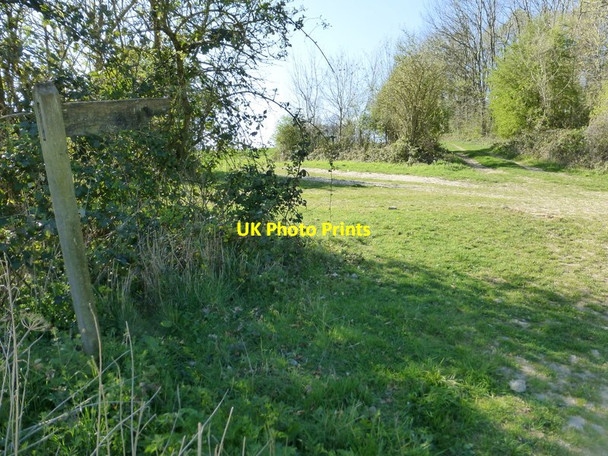 Photo 6"x4" Footpath crosses track at unnamed wood north west of Tunworth Tunworth c2014
