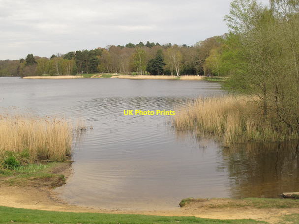 Photo 6"x4" View to Botany Bay, Virginia Water Shrubs Hill c2014