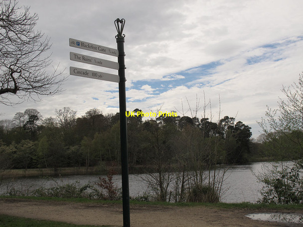 Photo 6"x4" Signpost at Virginia Water Shrubs Hill c2014