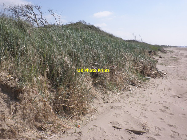 Photo 6"x4" Edge of the dunes, Berrow Burnham-on-Sea c2014