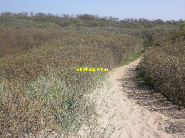 Photo 6"x4" Track through the dunes, Berrow Berrow\/ST2952 c2014