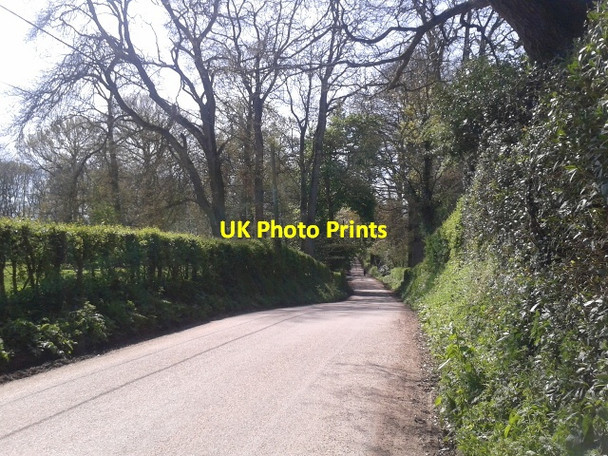 Photo 6"x4" Lane heading south past Rydon House Higher Tale c2014