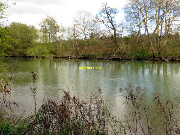 Photo 6"x4" The River Thames near Radley Lower Radley c2014