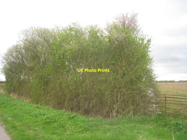 Photo 6"x4" Pit alongside Brind Lane Brind c2014