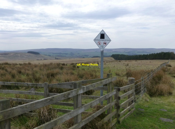 Photo 6"x4" Archaeological Area Otterburn Camp c2014