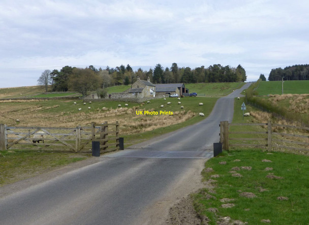 Photo 6"x4" Cattle grid by Elsdon Burn Otterburn Camp c2014