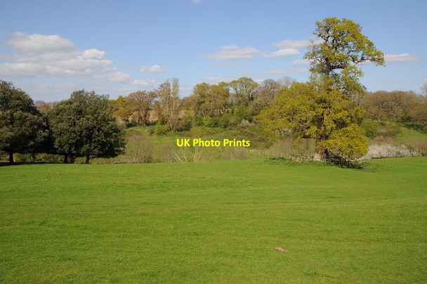 Photo 6"x4" Parkland at Montacute House Lufton c2014
