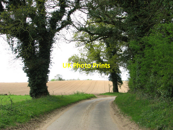 Photo 6"x4" Unnamed lane past Ruse's Plantation Bessingham c2014