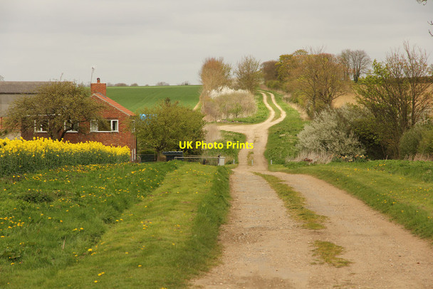 Photo 6"x4" Holme Wood Lane Moorby c2014