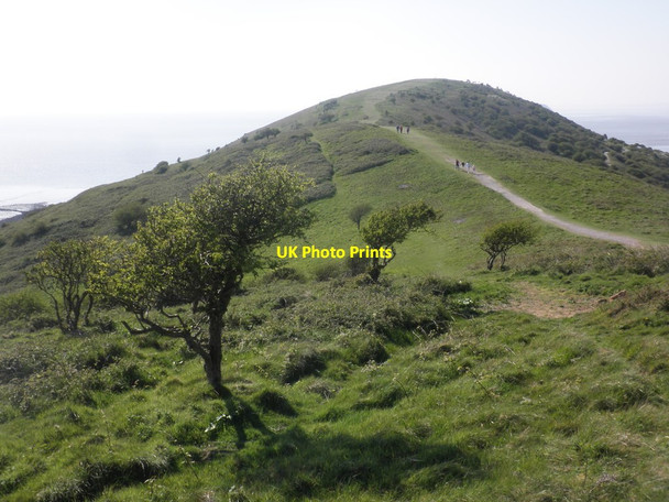 Photo 6"x4" Brean Down Brean c2014