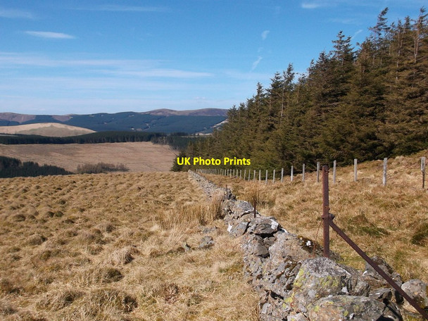 Photo 6"x4" Muckle Knowe Menzion c2014