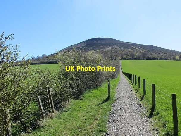 Photo 6"x4" Path to the Eildon Hills Melrose\/NT5434 c2014