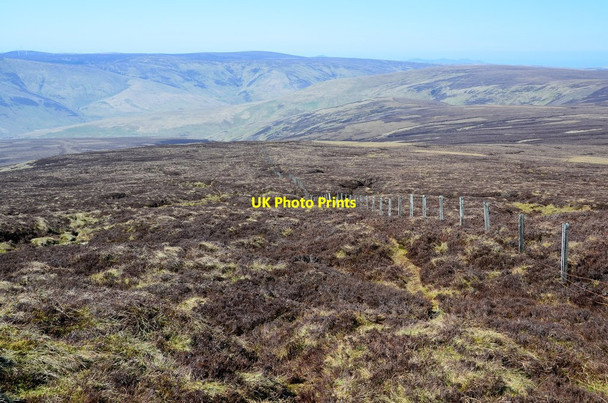 Photo 6"x4" Grouse moor, Windlestraw Law Wallet Knowe c2014