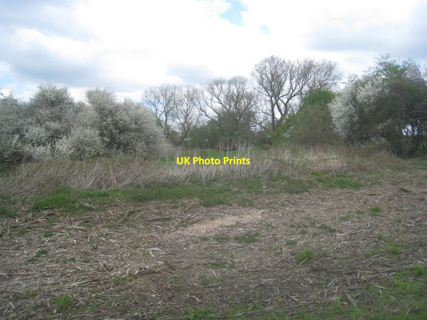 Photo 6"x4" Bubwith Rail Trail (2) Highfield\/SE7236 c2014