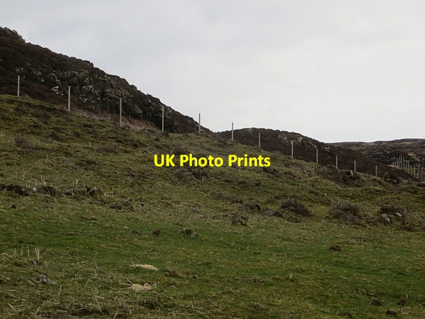 Photo 6"x4" Field, Burg Kilninian c2014