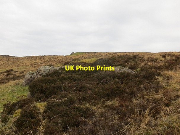 Photo 6"x4" Moorland, Treshnish Kilninian c2014