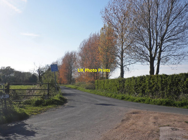 Photo 6"x4" Hurn Lane, Berrow Berrow\/ST2952 c2014