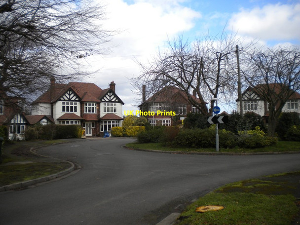 Photo 6"x4" Roundabout on Dovedale Road, West Bridgford West Bridgford c2014