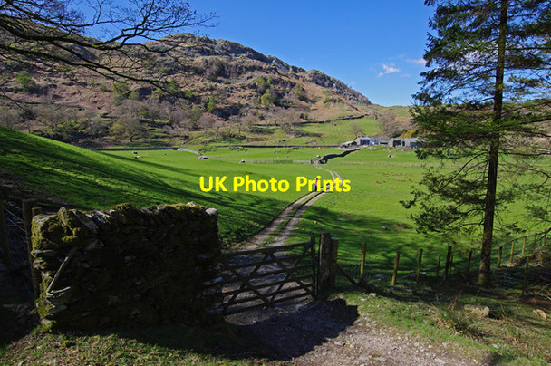 Photo 6"x4" Footpath to High Tilberthwaite Little Langdale c2014