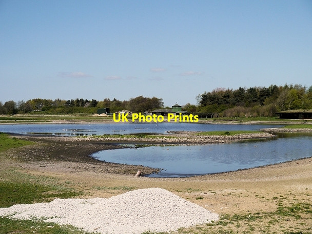 Photo 6"x4" Martin Mere Tarlscough c2014